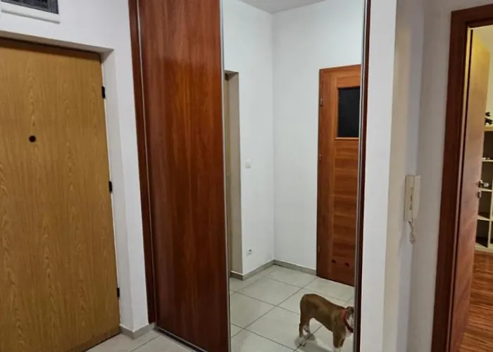 Διαμέρισμα Lipinskiego Krasków