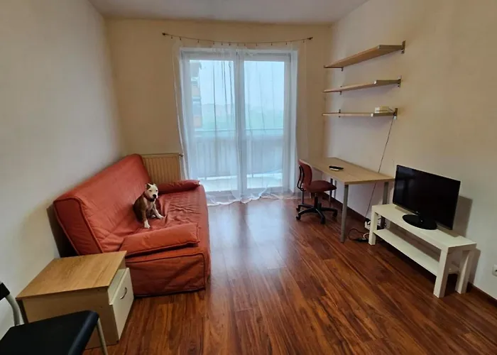 Lipinskiego * Krasków