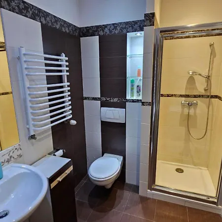 Lipinskiego 公寓 *