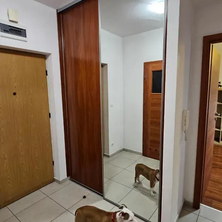 公寓 Lipinskiego 克拉科夫