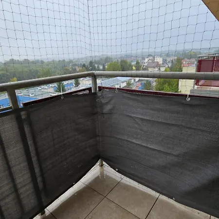 Lipinskiego * 克拉科夫