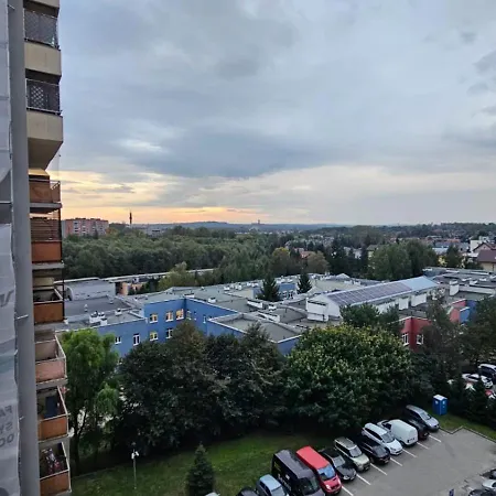 Lipinskiego 克拉科夫