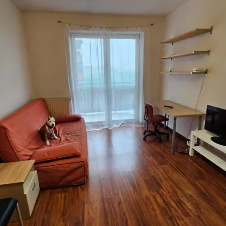 Lipinskiego * 克拉科夫